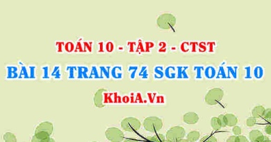 Bài 14 trang 74 SGK Toán 10 tập 2 Chân trời sáng tạo